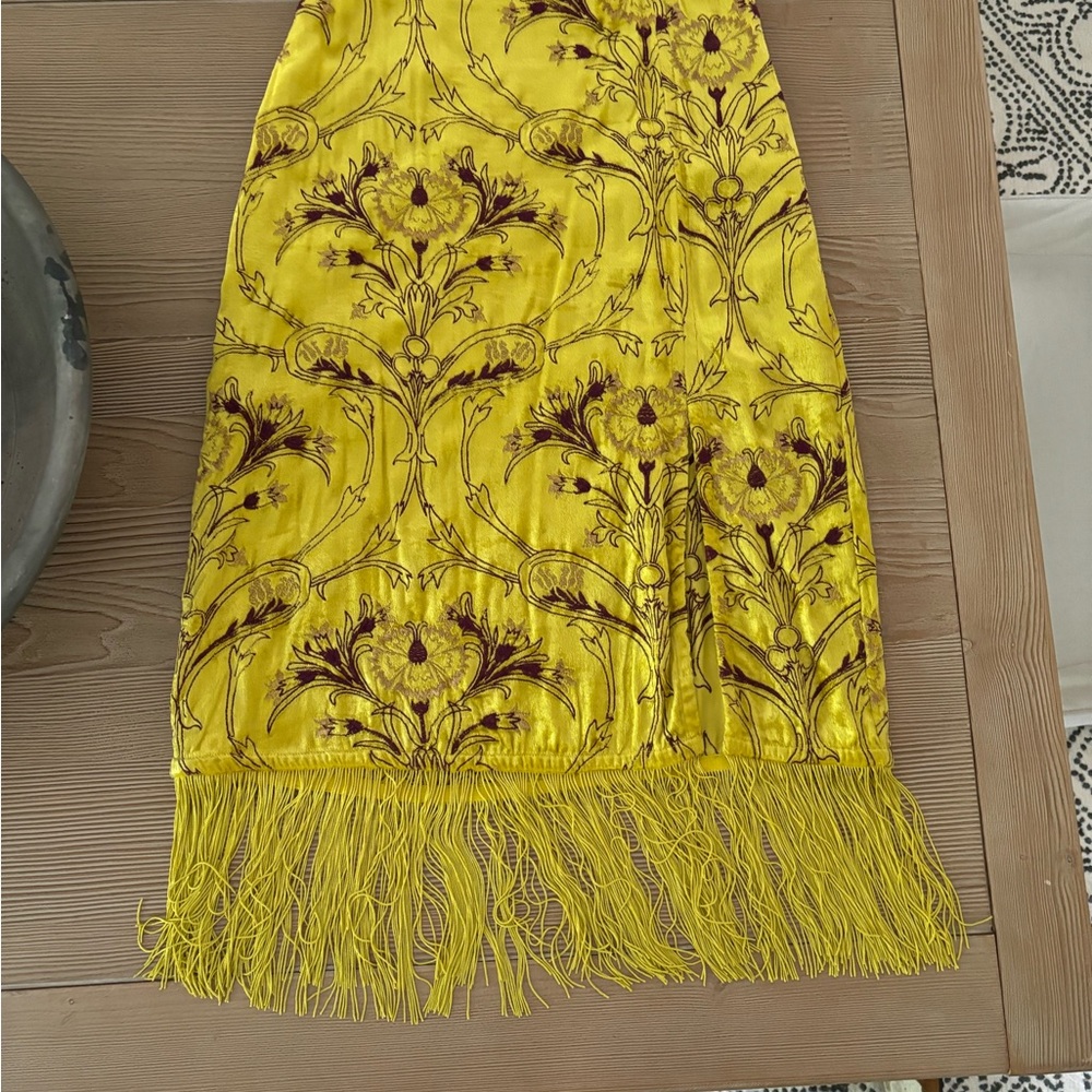 Anthropologie embroidered velvet fringed maxi skirt